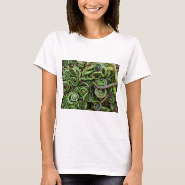 Fiddlehead Ferns T-Shirt (Front)
