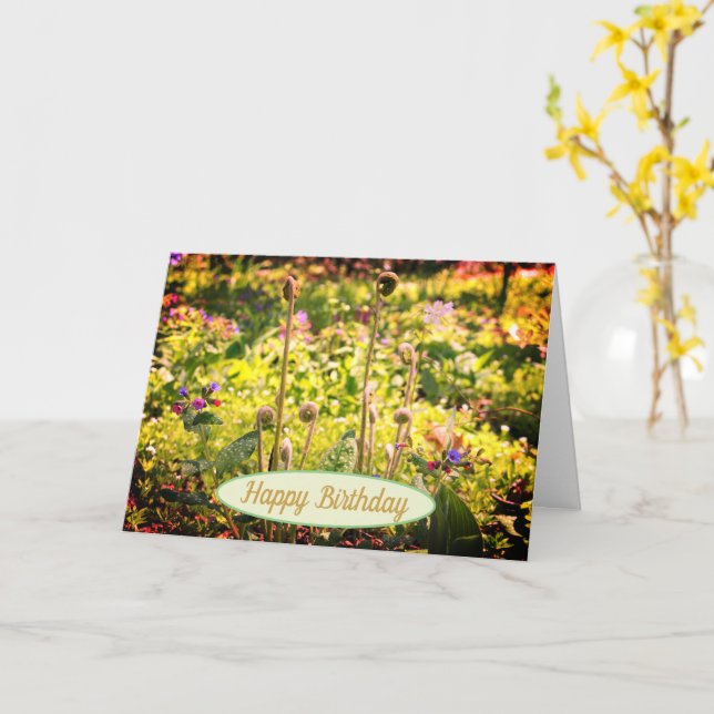 Fiddleheads And Flowers Birthday  Card (Yellow Flower)