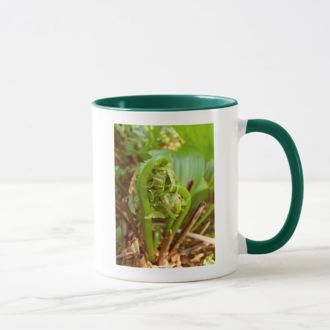 Fiddleheads Mug (Right)