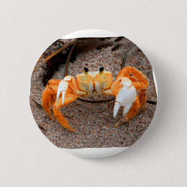 Fiddler Crab On Beach Colorized Orange Button (Front)