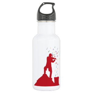 Fiddler  stainless steel water bottle