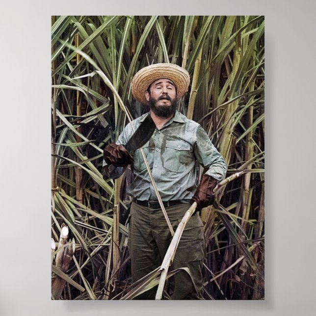 Fidel Castro Poster (Front)