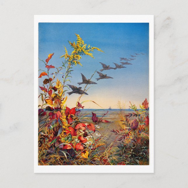 Fidelia Bridges Holiday Postcard (Front)