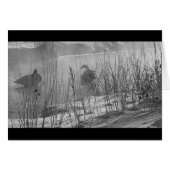 Fidelity ~ winter swans card (Front Horizontal)