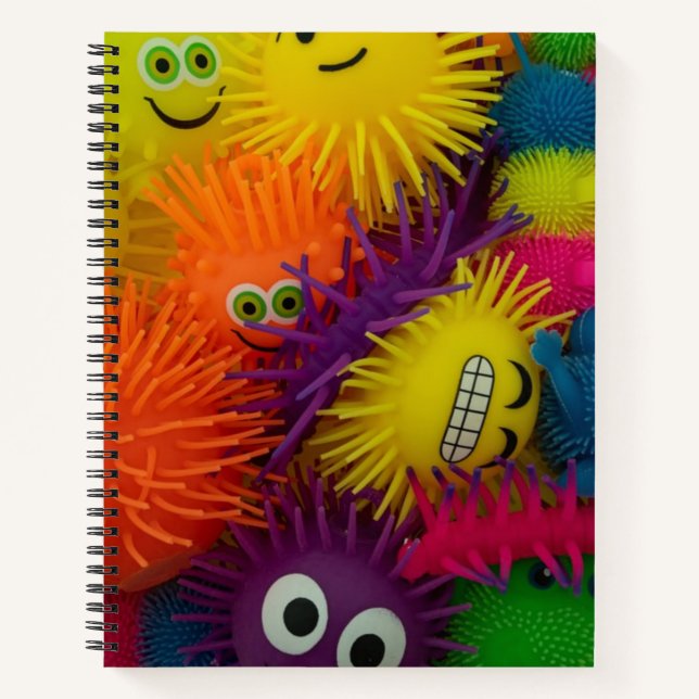 Fidget Toy Squishy Ball Notebook (Front)