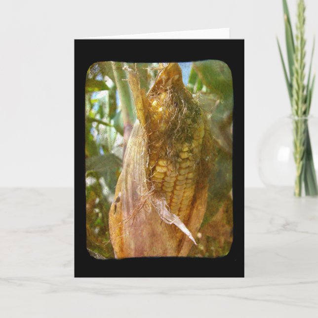 Field Corn Blank Inside All Occasion Greeting Card (Front)