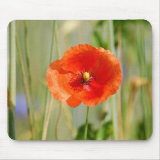 Field edge OF A corn field with talk poppies - Mouse Pad