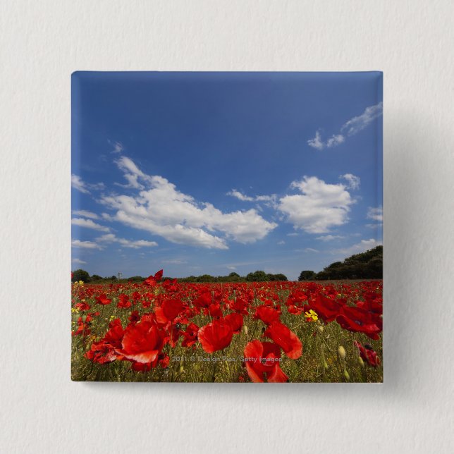 Field Full Of Red Flowers Pinback Button (Front)