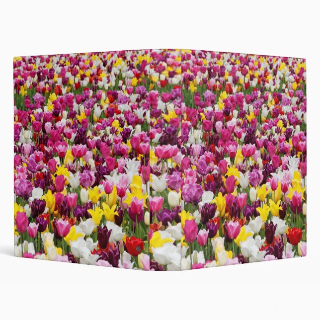 field full of tulips 3 ring binder (Background)