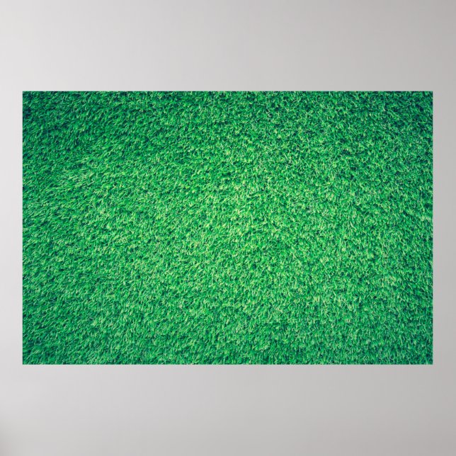 Field grass green lawn texture poster (Front)