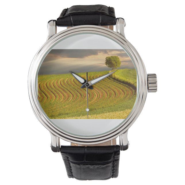 Field Green 11 Watch (Front)