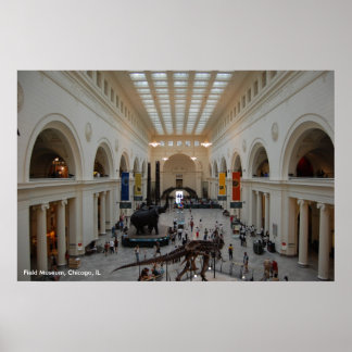 Field Museum Poster