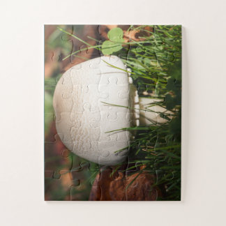 Field mushroom in a forest jigsaw puzzle