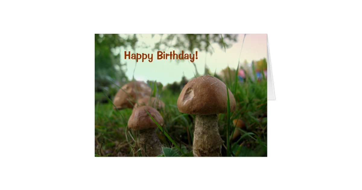 Field Mushrooms Happy Birthday Card
