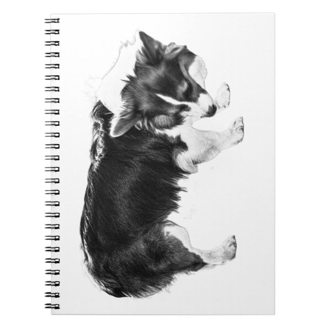 Field Notes: Autumn Nose Notebook (Front)