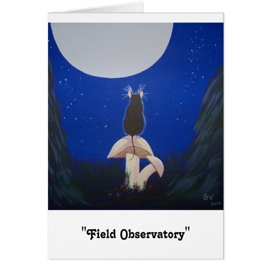 "Field Observatory" Cards (Front)