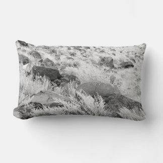 Field of Basalt Lumbar Pillow