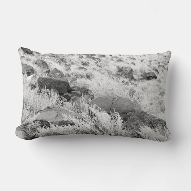 Field of Basalt Lumbar Pillow (Front)