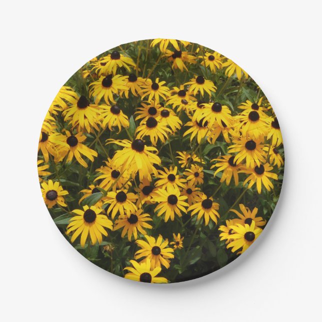 Field Of Black Eyed Susans Paper Plate (Front)