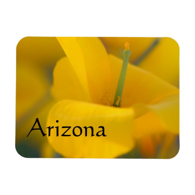 Field of blooming poppies, Arizona Magnet (Horizontal)
