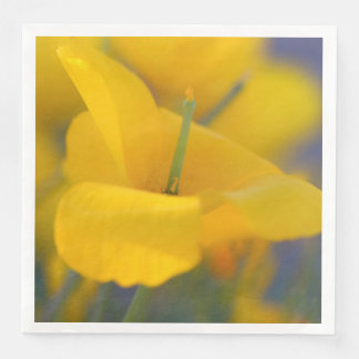Field of blooming poppies paper dinner napkins