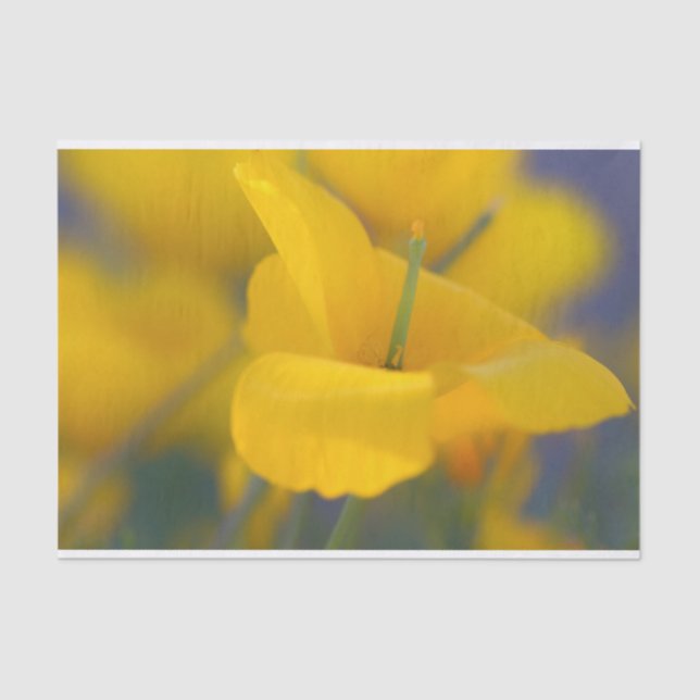 Field of blooming poppies tissue paper (Front)