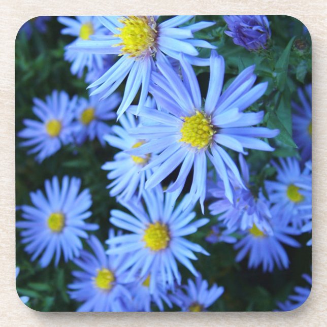 Field of Blue Flowers Beverage Coaster (Front)