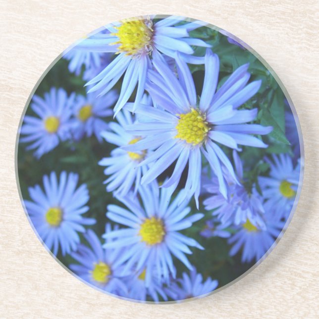 Field of Blue Flowers Drink Coaster (Front)