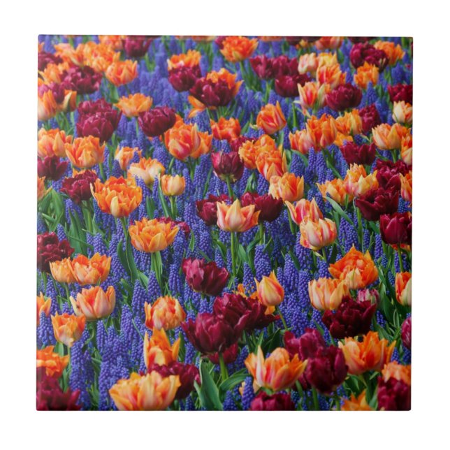 Field of Blue, Orange and Red Flowers Ceramic Tile (Front)