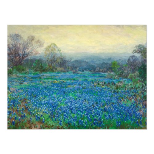 Field of Bluebonnets by Julian Onderdon Photo Print