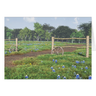 Field of Bluebonnets Cards