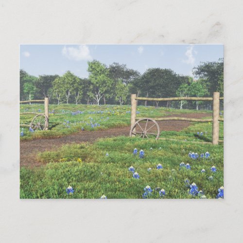 Field of Bluebonnets Postcard