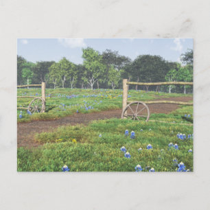 Field of Bluebonnets Postcard