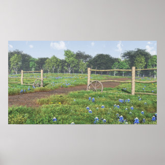 Field of Bluebonnets Poster