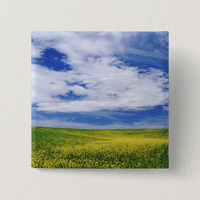 Field of Canola or Mustard flowers, Palouse Pinback Button (Front)