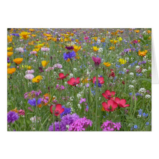 Field of Colorful Flowers Cards (Front Horizontal)