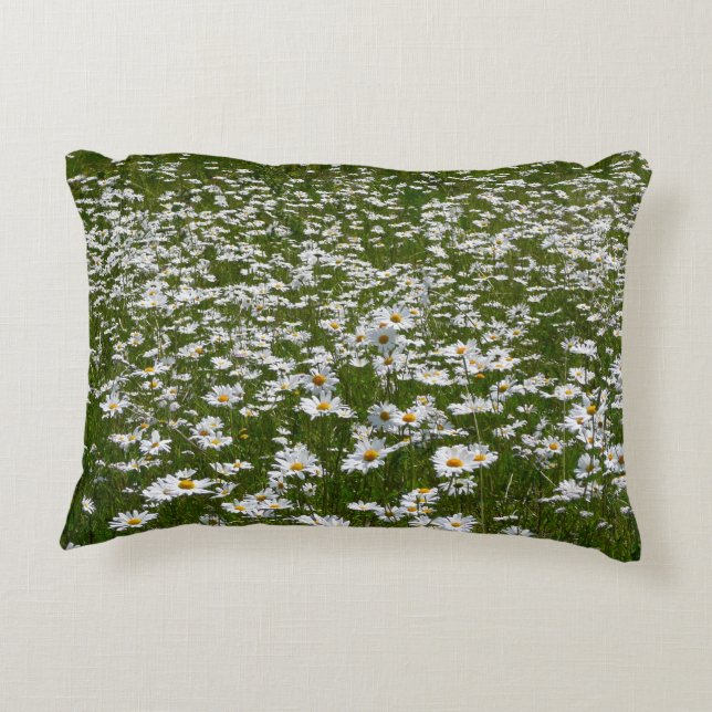 Field of Daisies Alaskan Wildflowers Accent Pillow (Back)