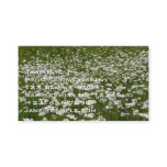 Field of Daisies Alaskan Wildflowers Business Card