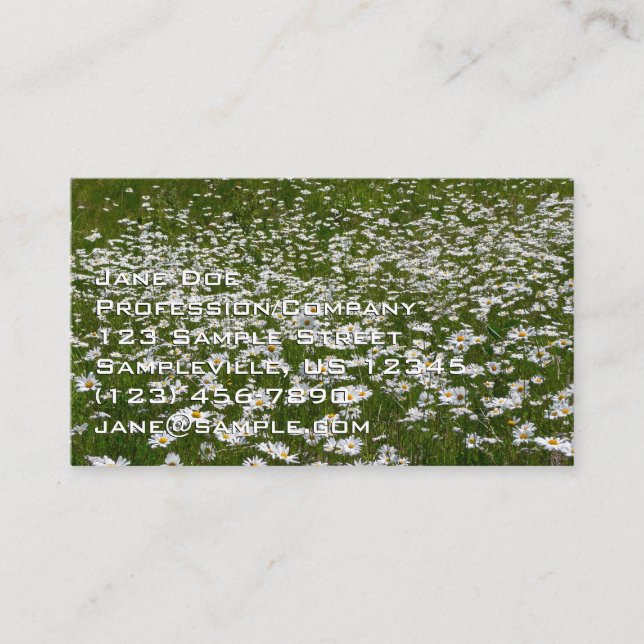 Field of Daisies Alaskan Wildflowers Business Card (Front)