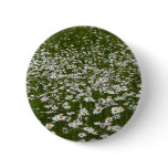 Field of Daisies Alaskan Wildflowers Button