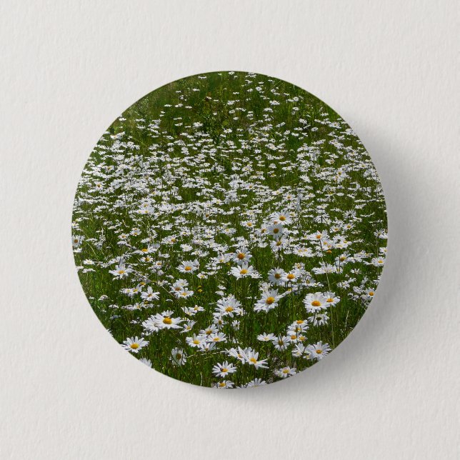 Field of Daisies Alaskan Wildflowers Button (Front)