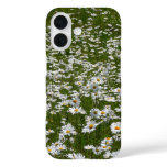Field of Daisies Alaskan Wildflowers iPhone 16 Case