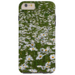 Field of Daisies Alaskan Wildflowers Tough iPhone 6 Plus Case