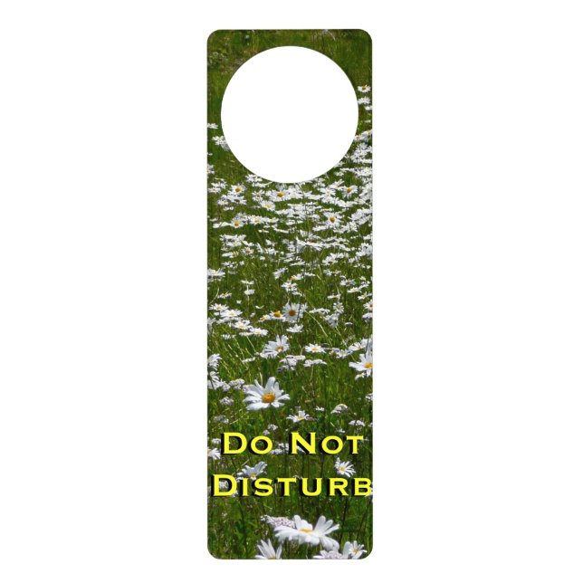 Field of Daisies Alaskan Wildflowers Door Hanger (Front)