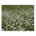 Field of Daisies Alaskan Wildflowers Jigsaw Puzzle