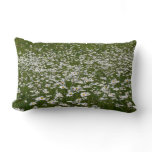 Field of Daisies Alaskan Wildflowers Lumbar Pillow
