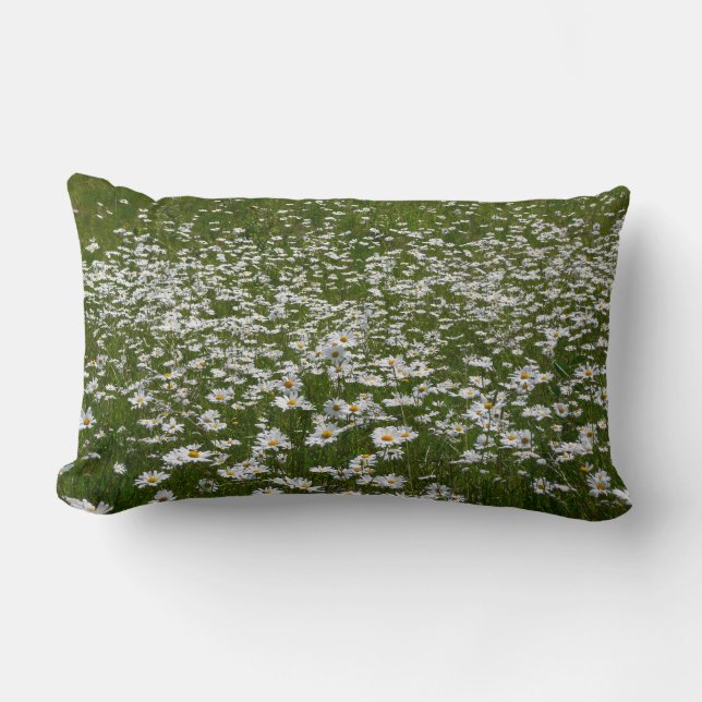 Field of Daisies Alaskan Wildflowers Lumbar Pillow (Front)