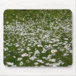 Field of Daisies Alaskan Wildflowers Mouse Pad