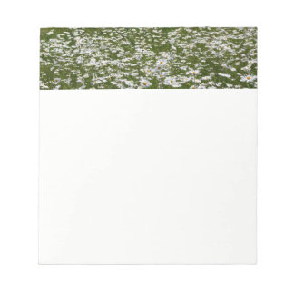 Field of Daisies Alaskan Wildflowers Notepad