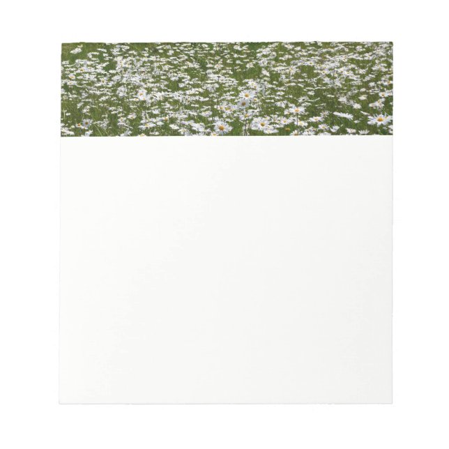 Field of Daisies Alaskan Wildflowers Notepad (Front)